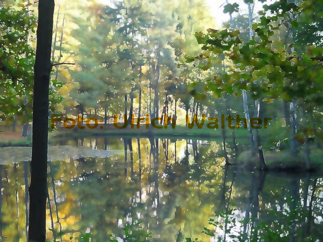 2 Teich_aquarell_Kopie.jpg